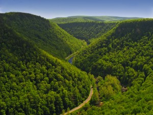 Pine_Creek_Gorge